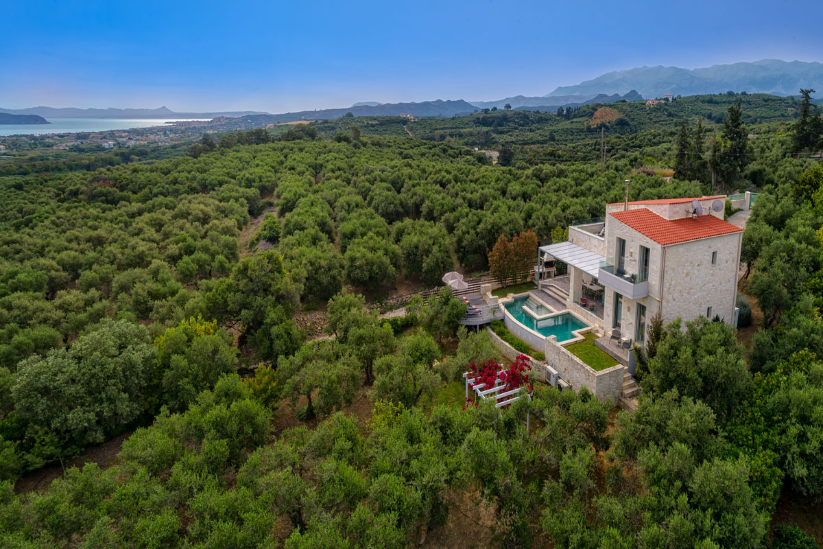 Faidras Olive Grove